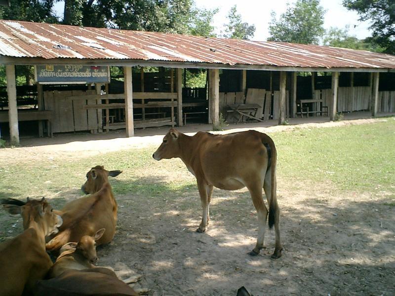 ecolerdplao2012c.jpg